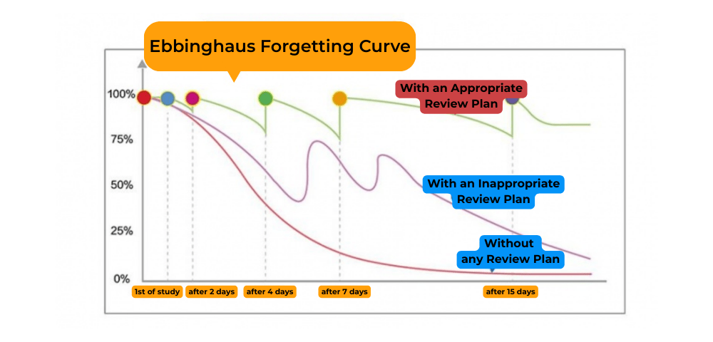 Think Academy-Ebbinghaus Forgetting Curve