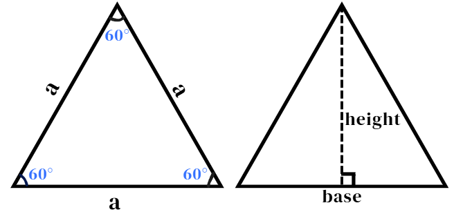 Think Academy-What is a Triangle Equilateral Triangle
