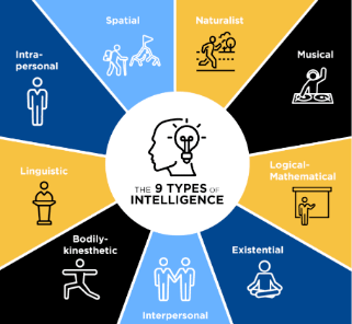 Beyond the Classroom: An In-Depth Look at Intelligence Tests